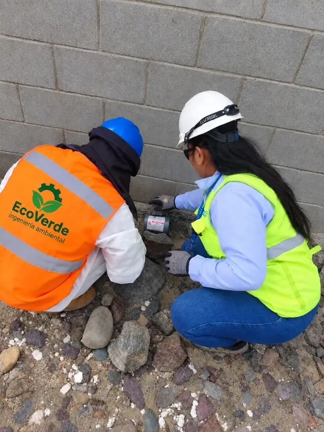Dos técnicos de EcoVerde colocando un cebadero de desratización al pie de un muro perimétrico.